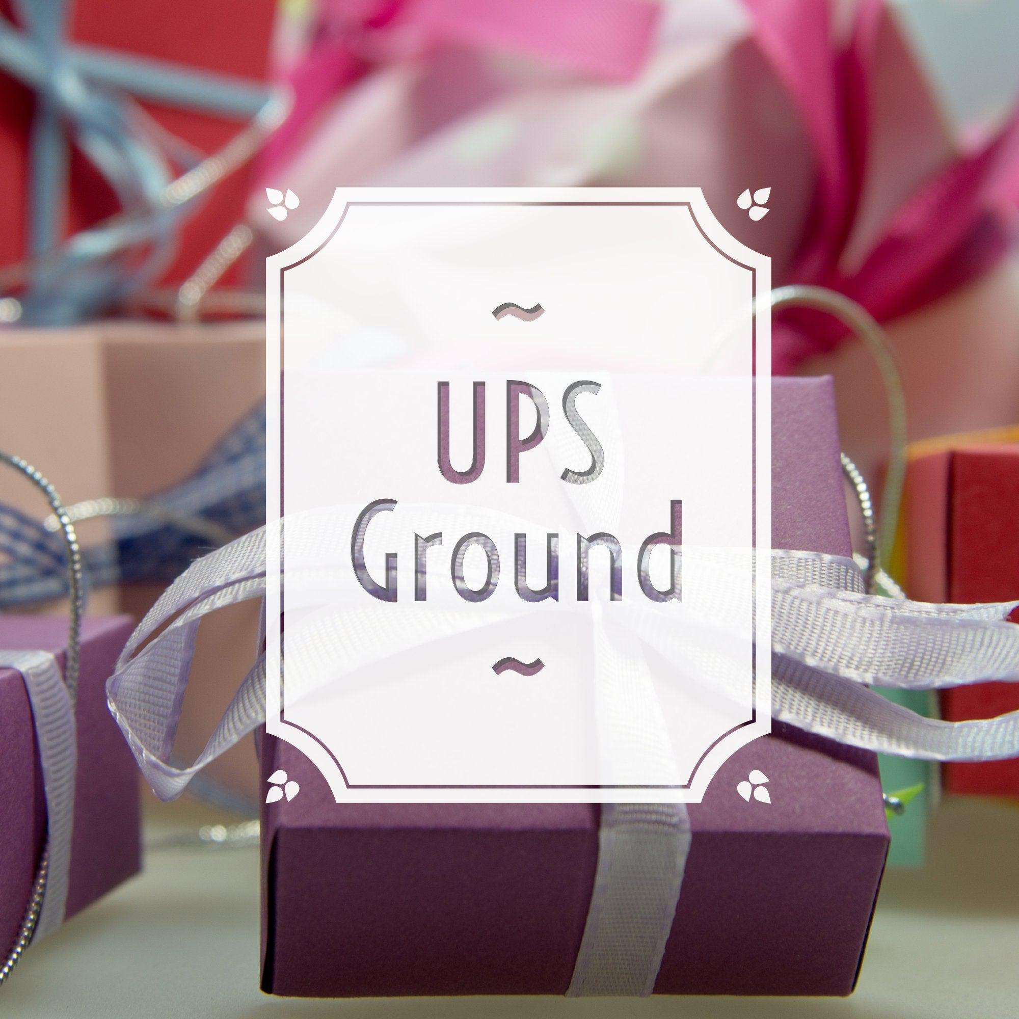 UPS Ground or 2 Day Shipping upgrade